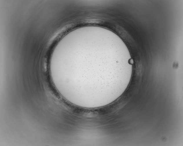 X0000113100731200909182137