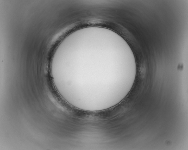 X0000113100732200909182137