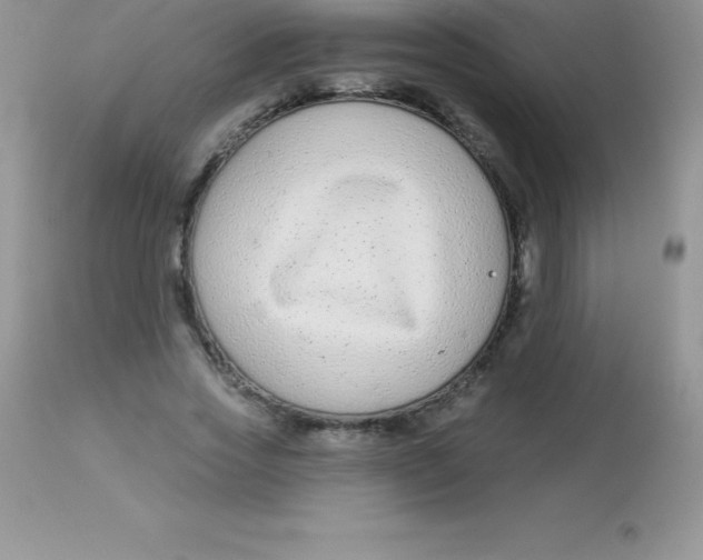 X0000113100733200909182137