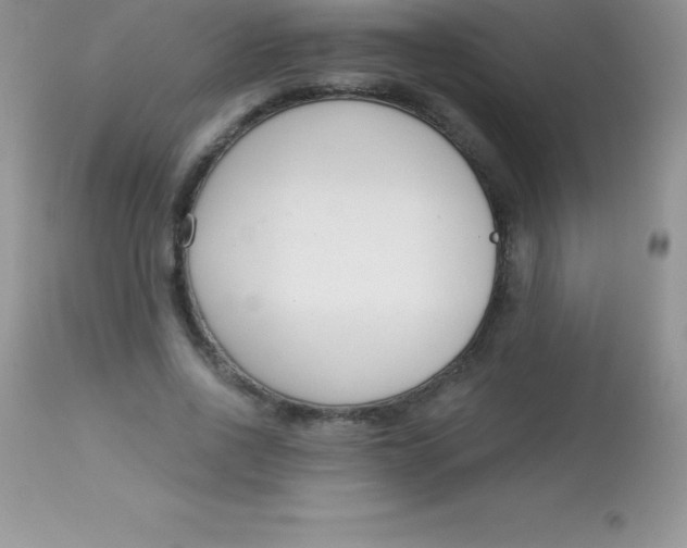 X0000113100734200909182137