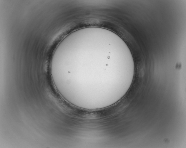 X0000113100735200909182137