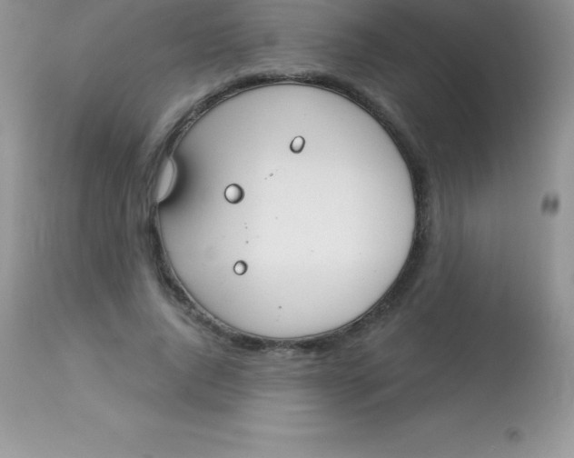 X0000113100736200909182137