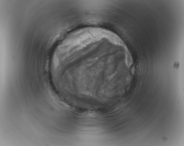 X0000113100739200909182137