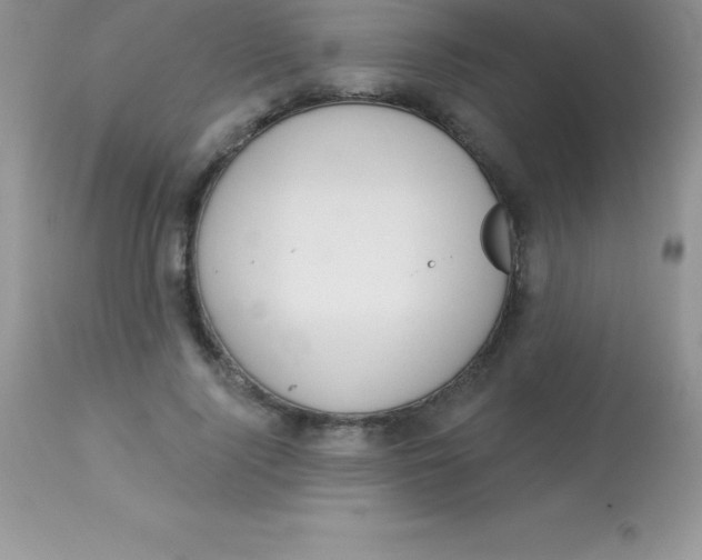 X0000113100740200909182137
