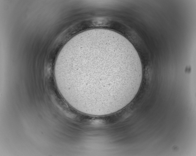 X0000113100741200909182137