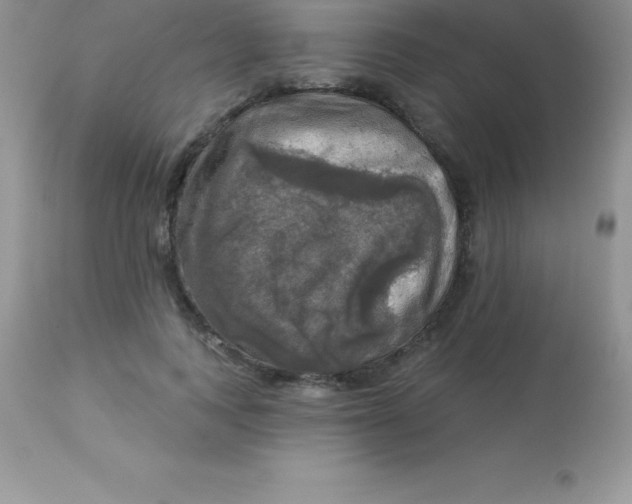 X0000113100743200909182137