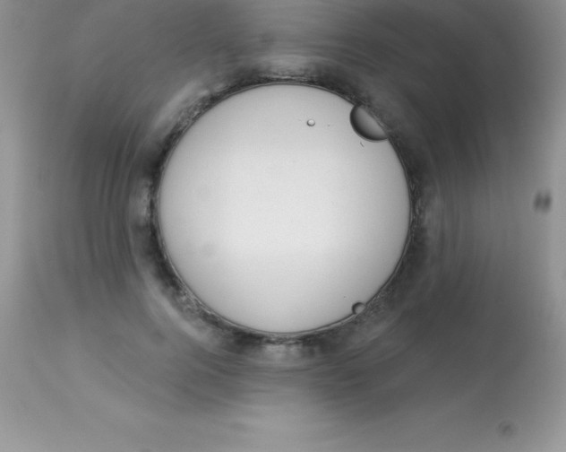 X0000113100744200909182137