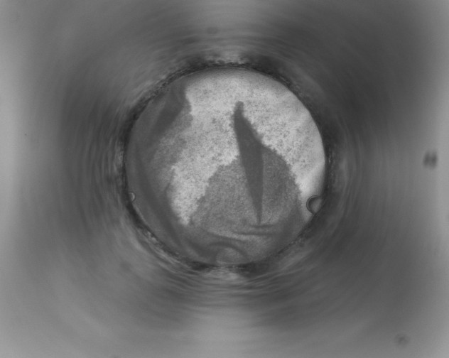 X0000113100747200909182138