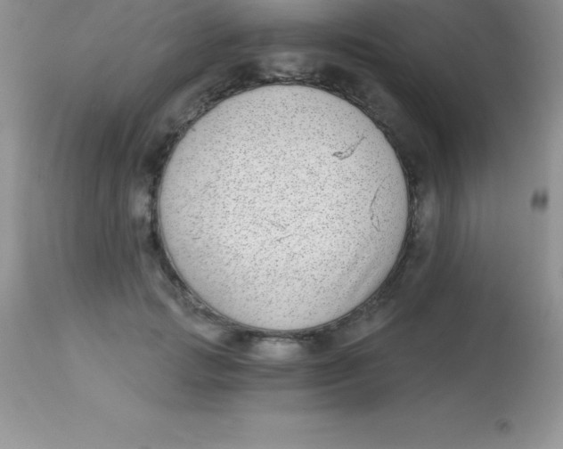 X0000113100749200909182138