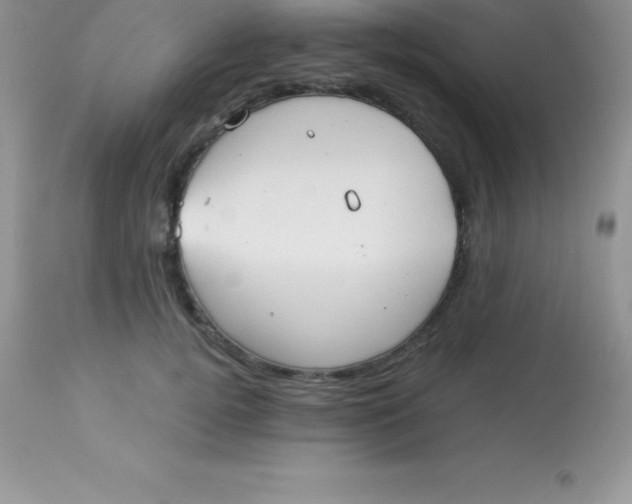 X0000113100752200909182138