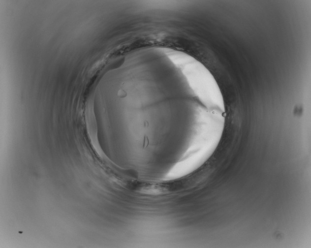 X0000113100754200909182138