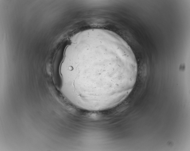 X0000113100755200909182138