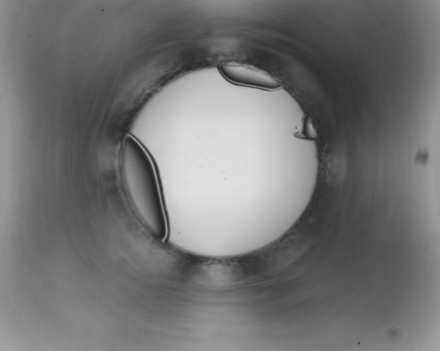 X0000113100756200909182138