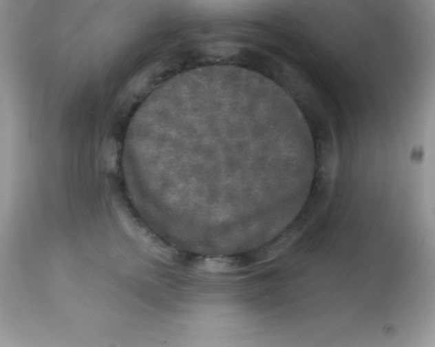 X0000113100758200909182138