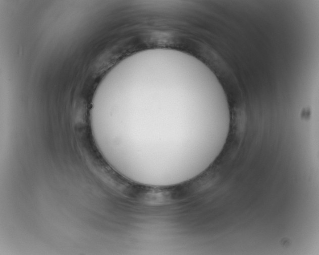X0000113100760200909182138