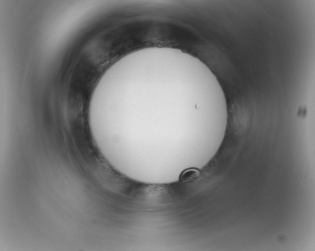 X0000113100762200909182138