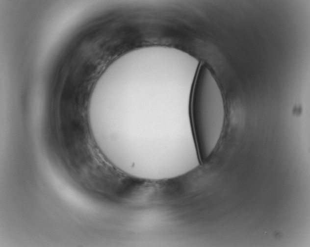 X0000113100764200909182138