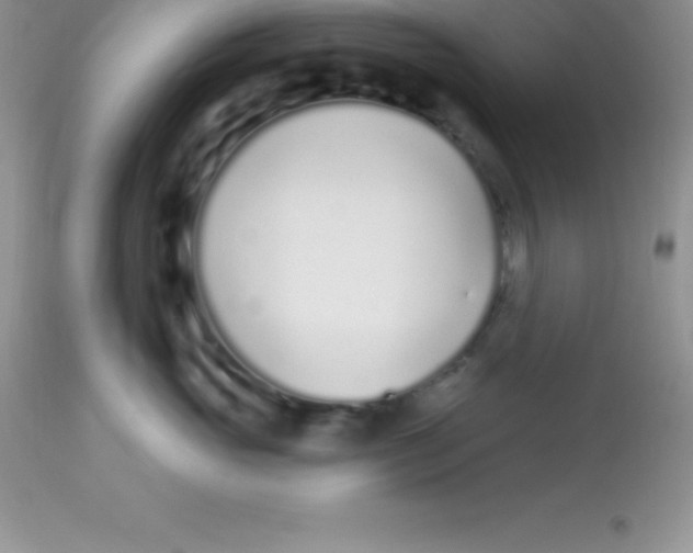 X0000113100765200909182138
