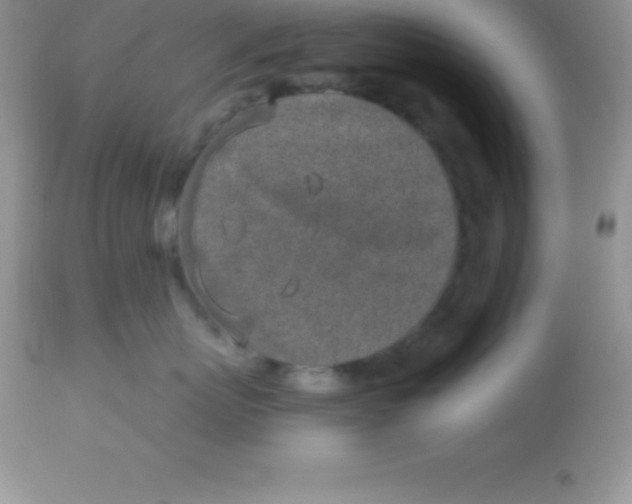 X0000113100767200909182138