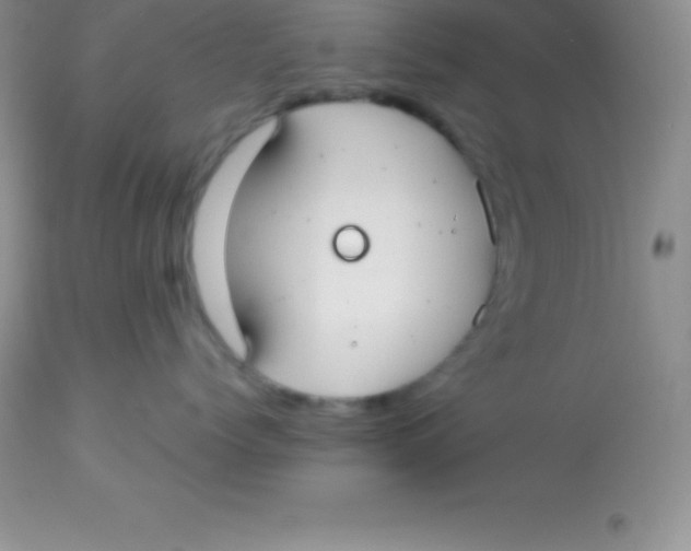 X0000113100768200909182138