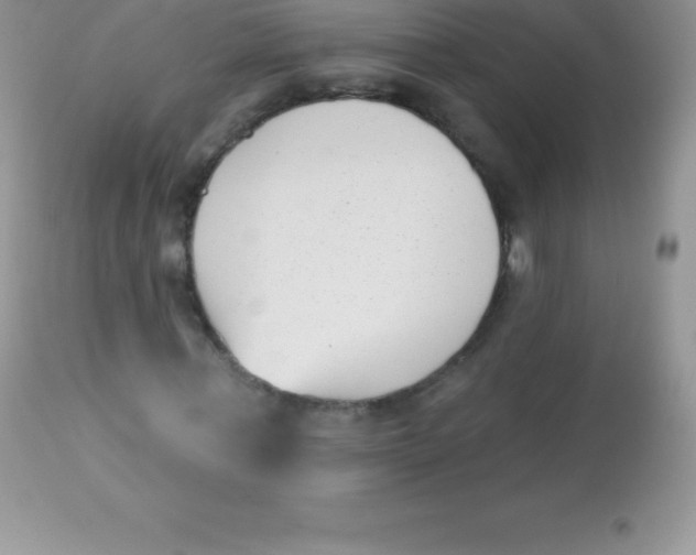 X0000113100771200909182137