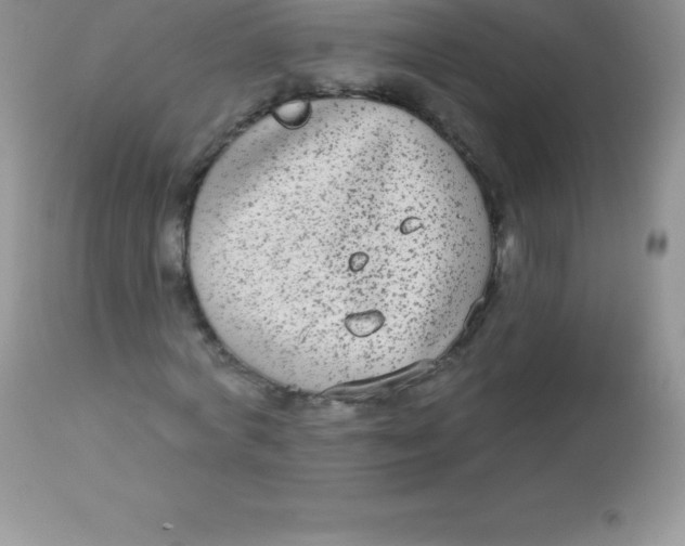 X0000113100772200909182137