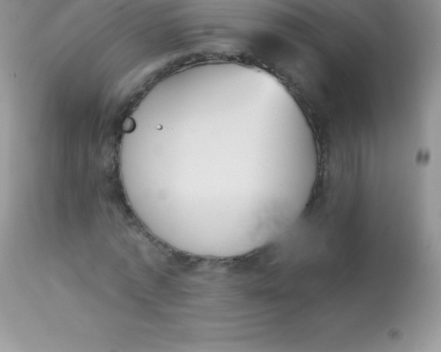 X0000113100773200909182137