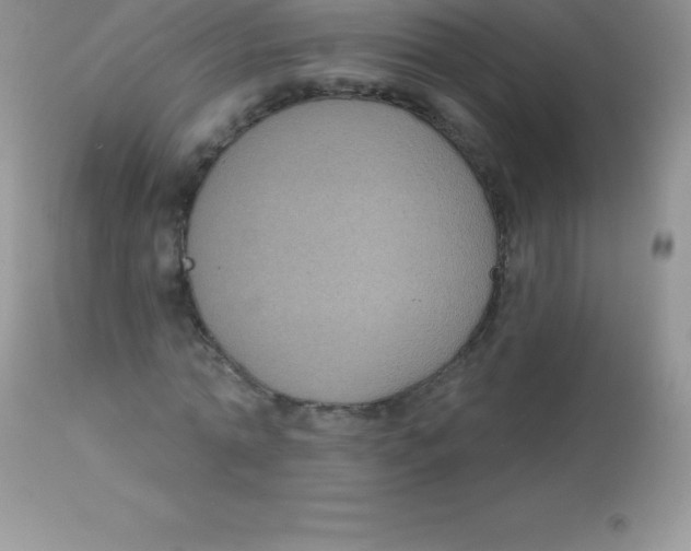 X0000113100774200909182137