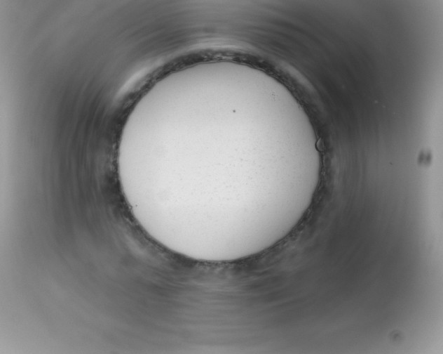 X0000113100775200909182137