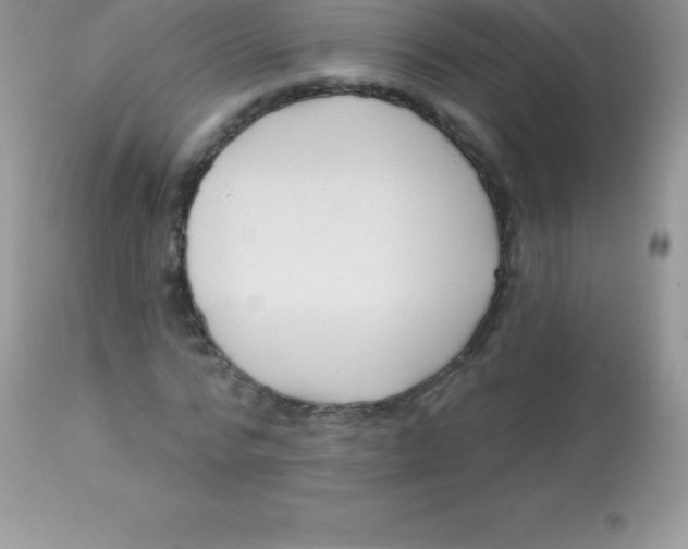 X0000113100776200909182137
