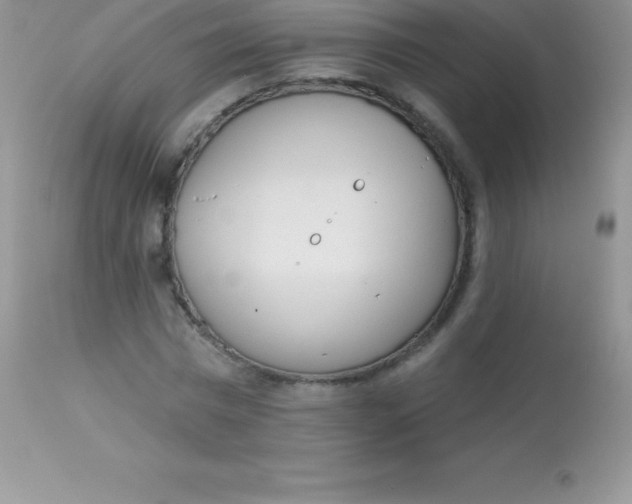 X0000113100777200909182137