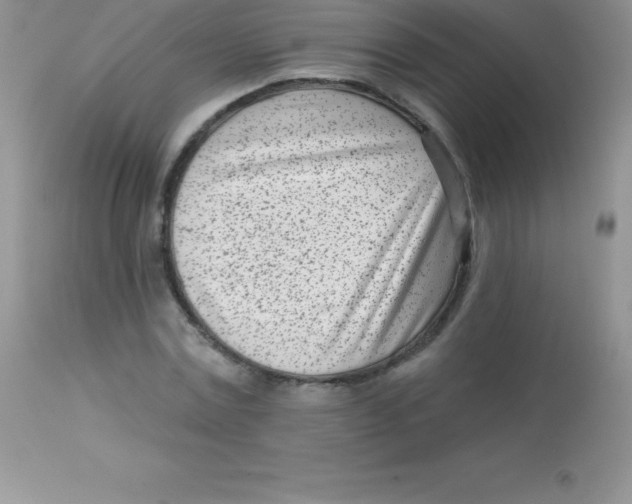 X0000113100779200909182137