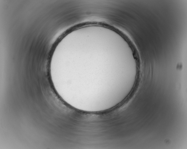 X0000113100783200909182137