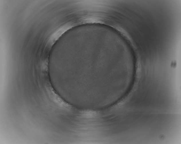 X0000113100785200909182137