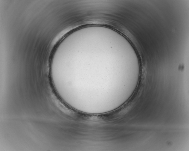 X0000113100787200909182137
