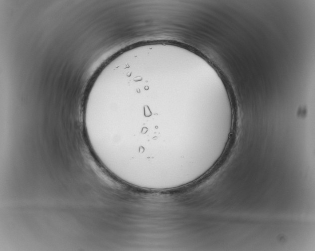 X0000113100789200909182137