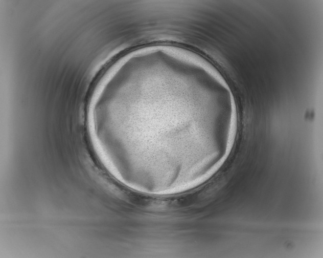 X0000113100790200909182137