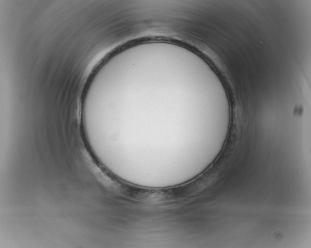 X0000113100791200909182137