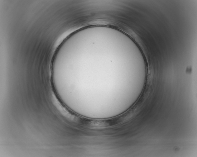 X0000113100795200909182137