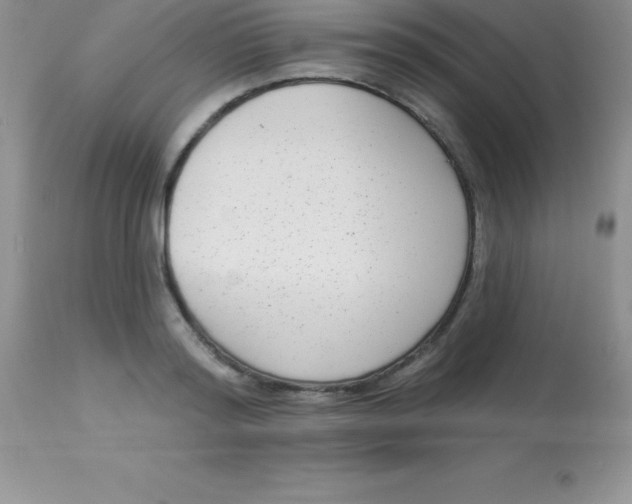 X0000113100796200909182137