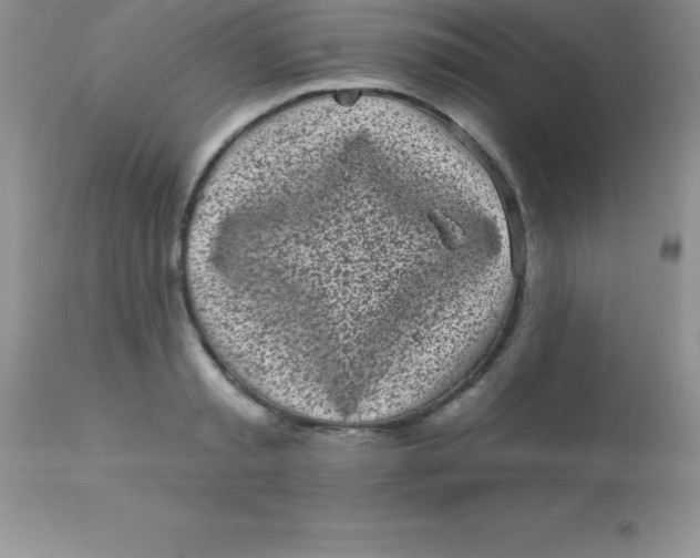 X0000113100797200909182137