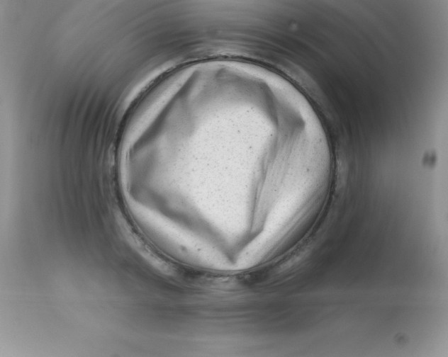 X0000113100798200909182137