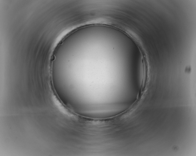 X0000113100800200909182137