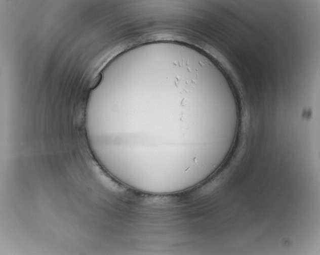 X0000113100801200909182137
