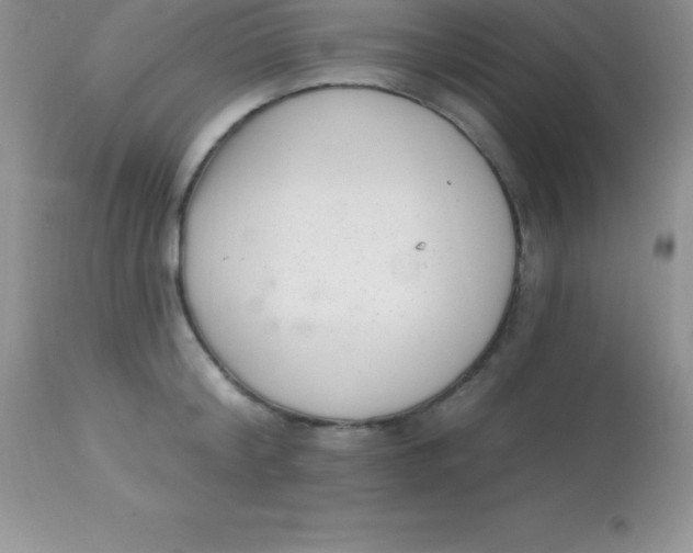 X0000113100804200909182137