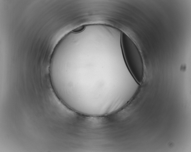 X0000113100805200909182137