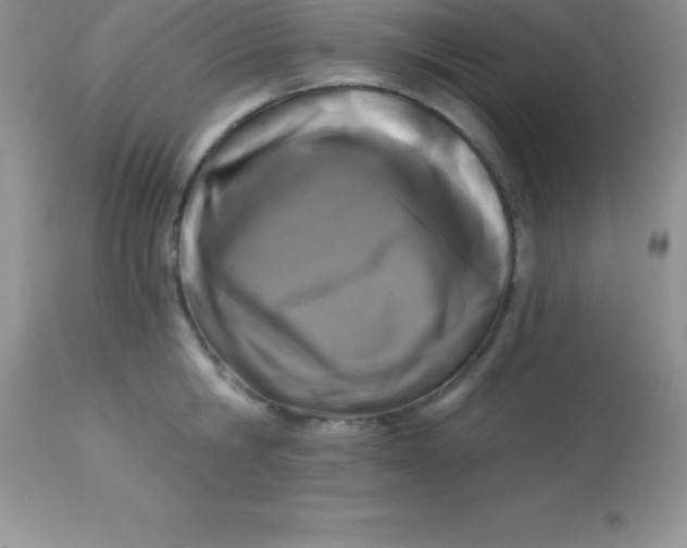 X0000113100806200909182136