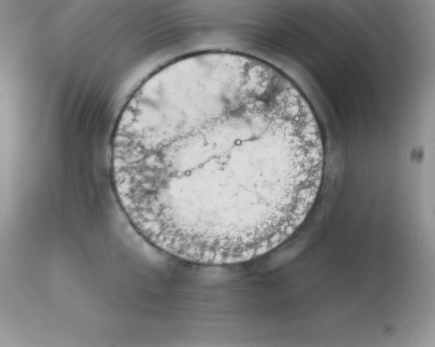 X0000113100807200909182136