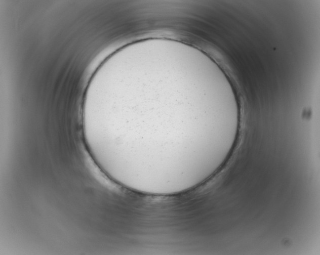 X0000113100808200909182136