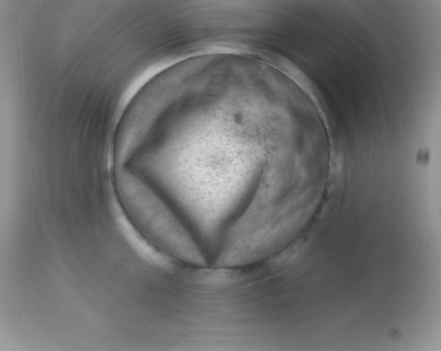 X0000113100811200909182136